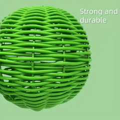 img_7387996