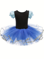 Girls Floral Embroidery Tulle Tutu Mesh Puff Sleeve Princess Ballet Dance Dress