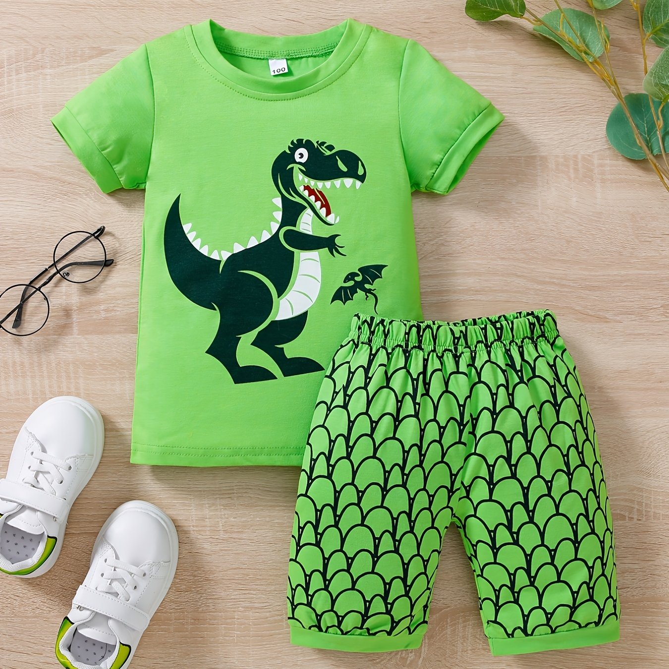 Boys Dinosaur Print T-shirt & Shorts Set