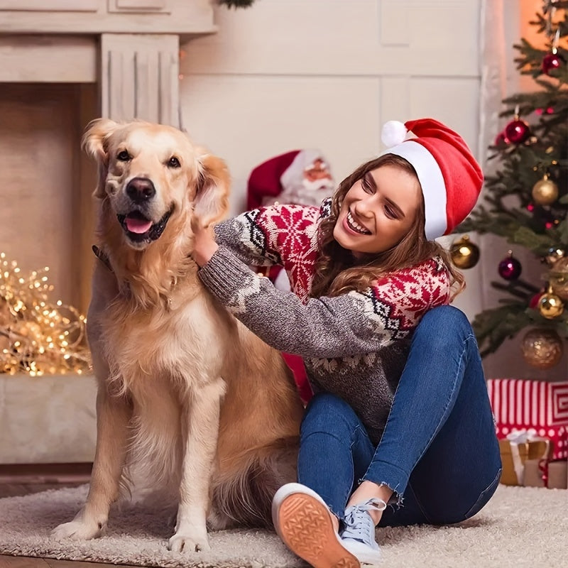 Santa Claus Christmas Hat for Gift and Decoration