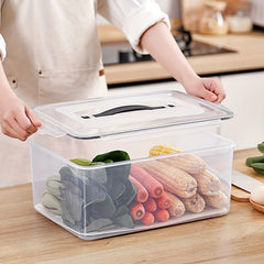 Large Capacity Drain Sealing Box with Lids & Removable Tray