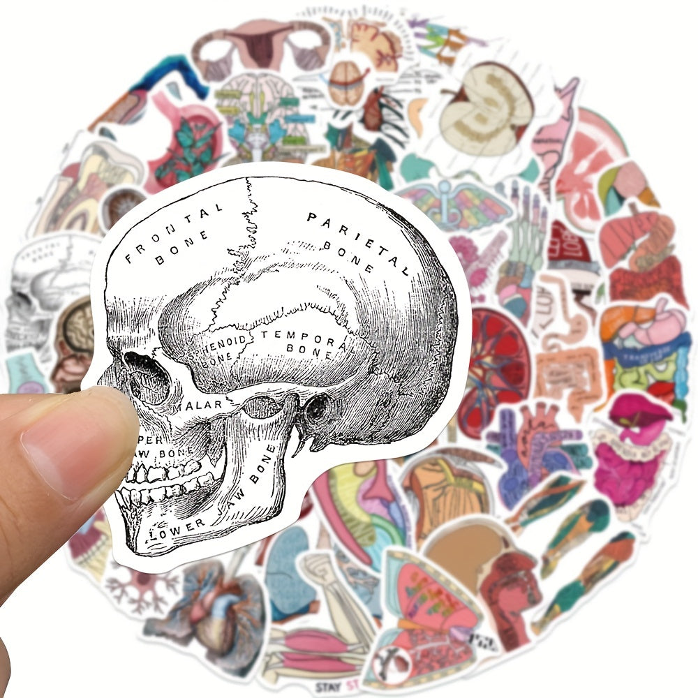 50pcs Anatomy Organ Doodle Stickers for Guitar Laptop Water Cup Luggage Helmet