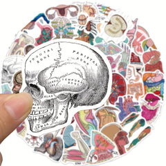 50pcs Anatomy Organ Doodle Stickers for Guitar Laptop Water Cup Luggage Helmet