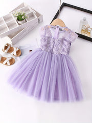 Girls Lace Mesh Princess Dress Sleeveless Tutu Dress