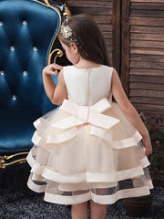 Girls Princess Embroidered Mesh Tutu Dress