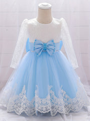 Baby Girls Floral Embroidery Long Sleeve Mesh Gown Princess Dress