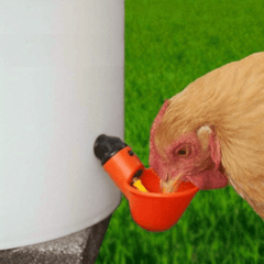 20pcs Automatic Poultry Water Cups for Quail Duck Hen Drinking & Feeding