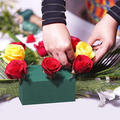 Floral Foam Blocks 22cm Wet & Dry for Fresh & Artificial Flowers