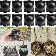 2pcs Plant Root Ball Propagator for Cuttings Grafting Rooting Box