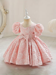Baby Girls Flower Bowknot Princess Dress Clothes
