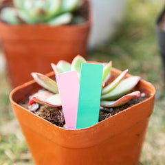 100pcs Reusable Plant Labels Waterproof Stake Labels for Potted Plants