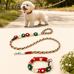 img_4094773