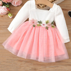 Infant Baby Girls Square Neck Long Sleeve Flower Mesh Dress