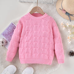 Girls' Jacquard Knitted Crew Neck Warm Sweater Top Pullover