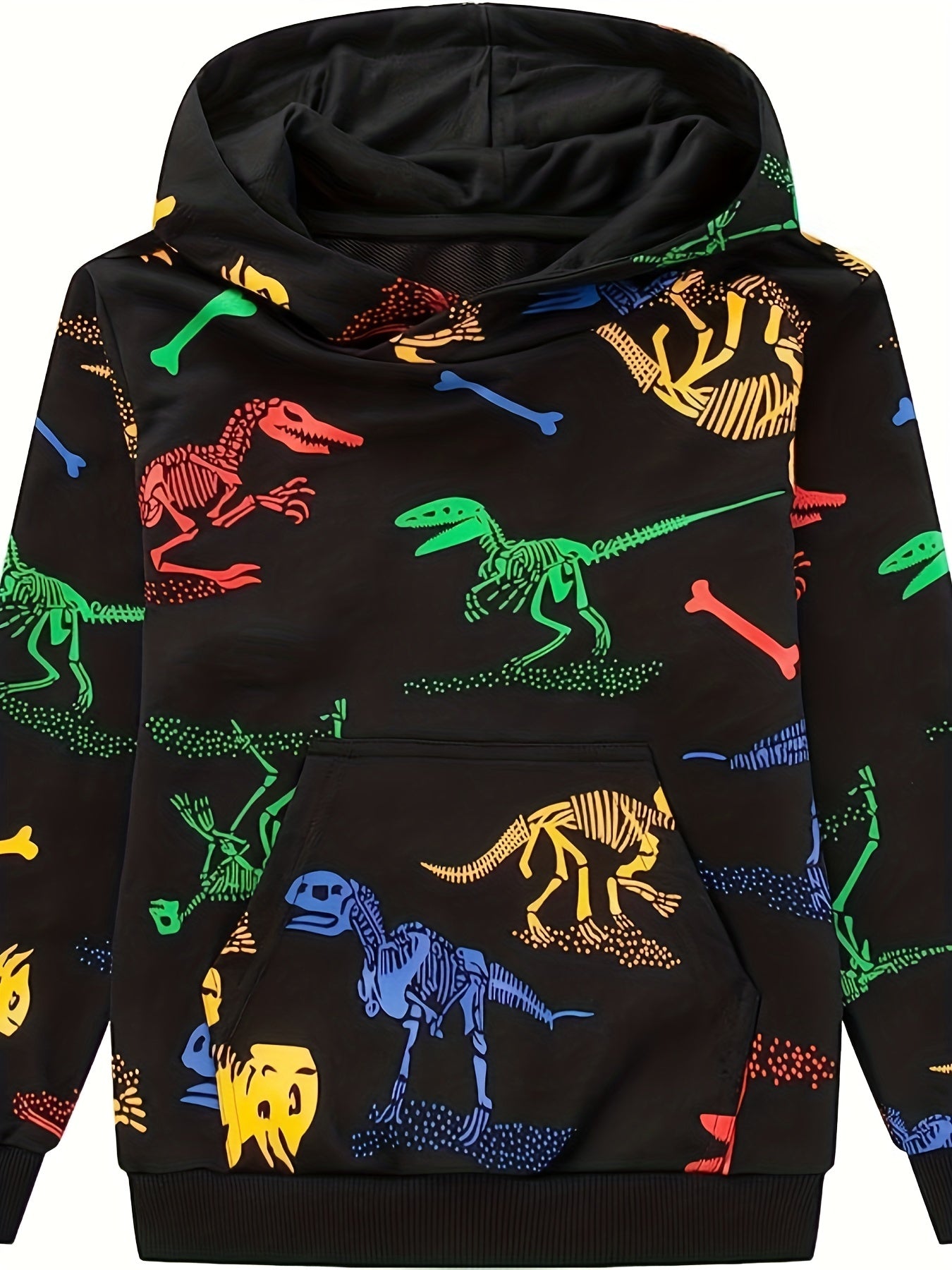 Colorful Dinosaur Boys Hoodie Spring Fall Sweatshirt