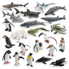 Set of 26 Wild Polar Marine Animals for Education