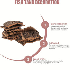 img_6358598