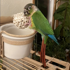 3pc Bird Toys for Parrots Rabbits Hamsters Gnawing Chewing