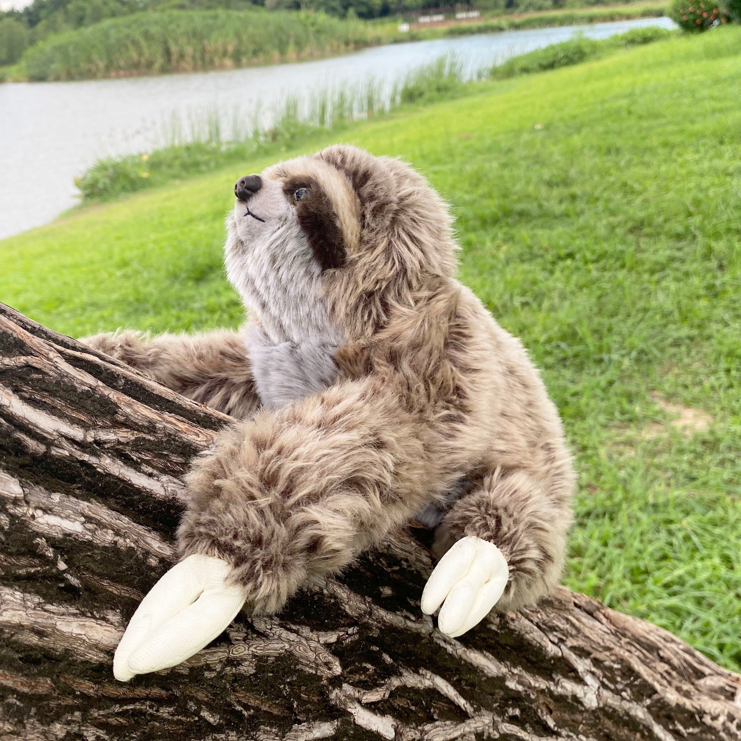 Cuddly Brown Sloth Plush Toy Fluffy Fur