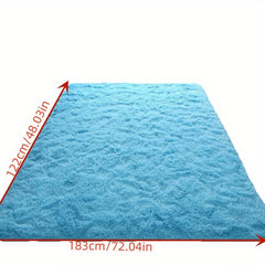Soft Fluffy Carpet for Bedroom Kitchen Rug Plush Dormitory Room Bedside Small