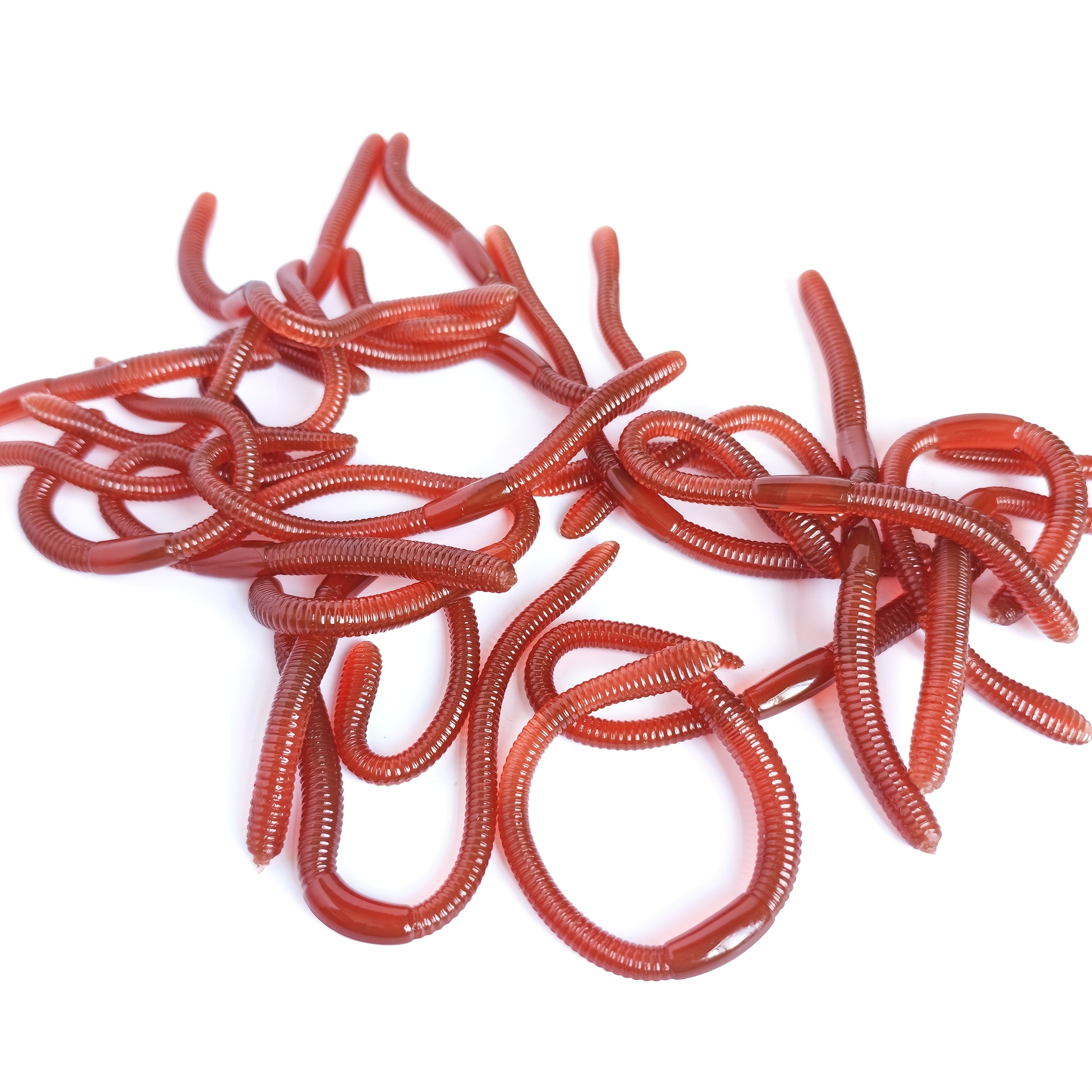 Halloween TPR Soft Rubber Insect And Mollusk Prank Realistic Worm Model Set