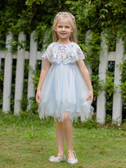Girls Mesh Lace Collar Embroidered Princess Dress For Birthday Party