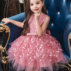 Girl's Sleeveless Beaded Embroidery Puffy Dress