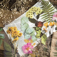 6-pc Special Shaped Flower & Plant Stickers Set