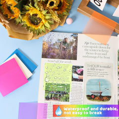 6 Packs Transparent Sticky Note Pads Bright Colors