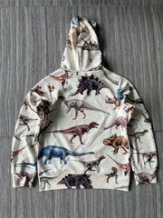 Kids Dino Hoodie Spring/Autumn Boys Girls Casual Sweatshirt 4-14 Years