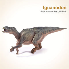 Iguanodon Dinosaur Model - Cultivate Scientific Curiosity