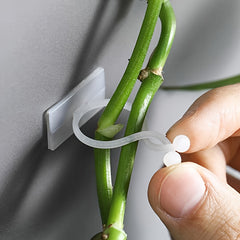 10pcs Plant Climbing Wall Rack 3 in 1 Plant Hanging Rack