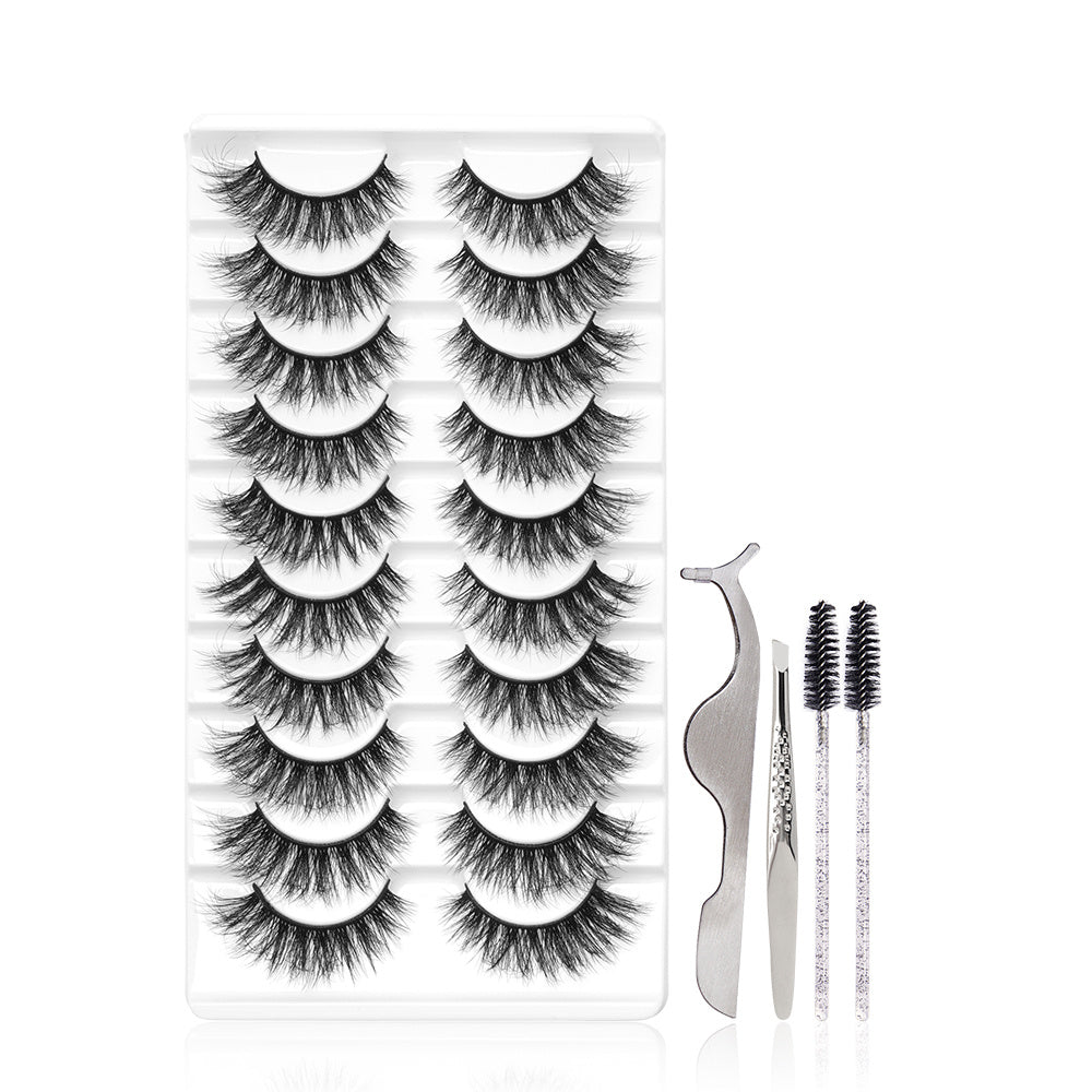 10 Pairs Fluffy Natural False Eyelashes Set with Tools