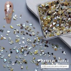 3D Irregular Shell Resin Patches Resin Beads Charms Chips