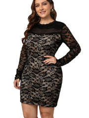 Sexy Dress Women's Embroidery Lace Long Sleeve Semi Sheer Dress