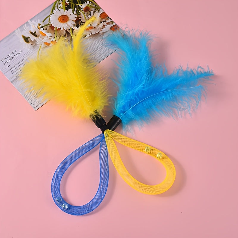 img_5377913