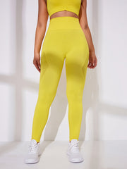 Quick Dry Butt Lifting Running Leggings Seamless Yoga Pants
