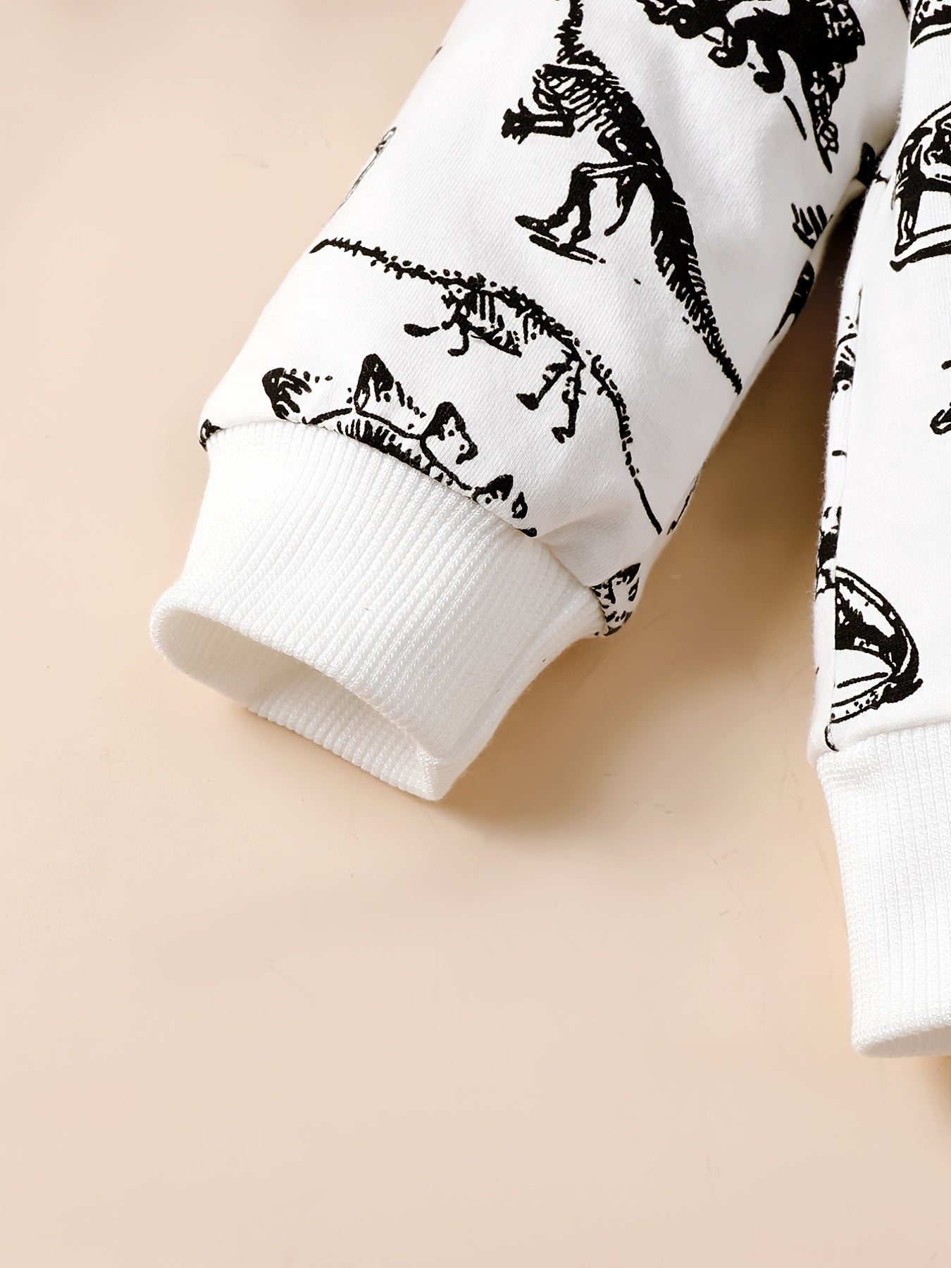 2pcs Toddler Boys Dino Print Crew Neck Sweatshirt & Pants Set