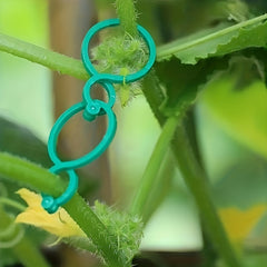100pcs Plant Clips for Climbing Plants Garden Tomato Vegetable Support