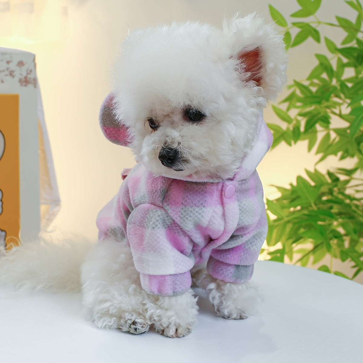 Cartoon Bear Embroidered Pet Bear Ear Shape Hoodie Dog Warm Clothes