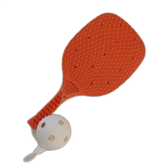 Pickleball Set for Indoor & Outdoor Training