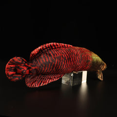 Giant Arapaima Plush Toy Realistic Dinosaur Stuffed Animal Soft Fluffy Fur