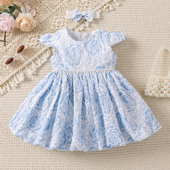 Sweet Girls Floral Graphic Pleated Puffy Dress Baby Casual Dress