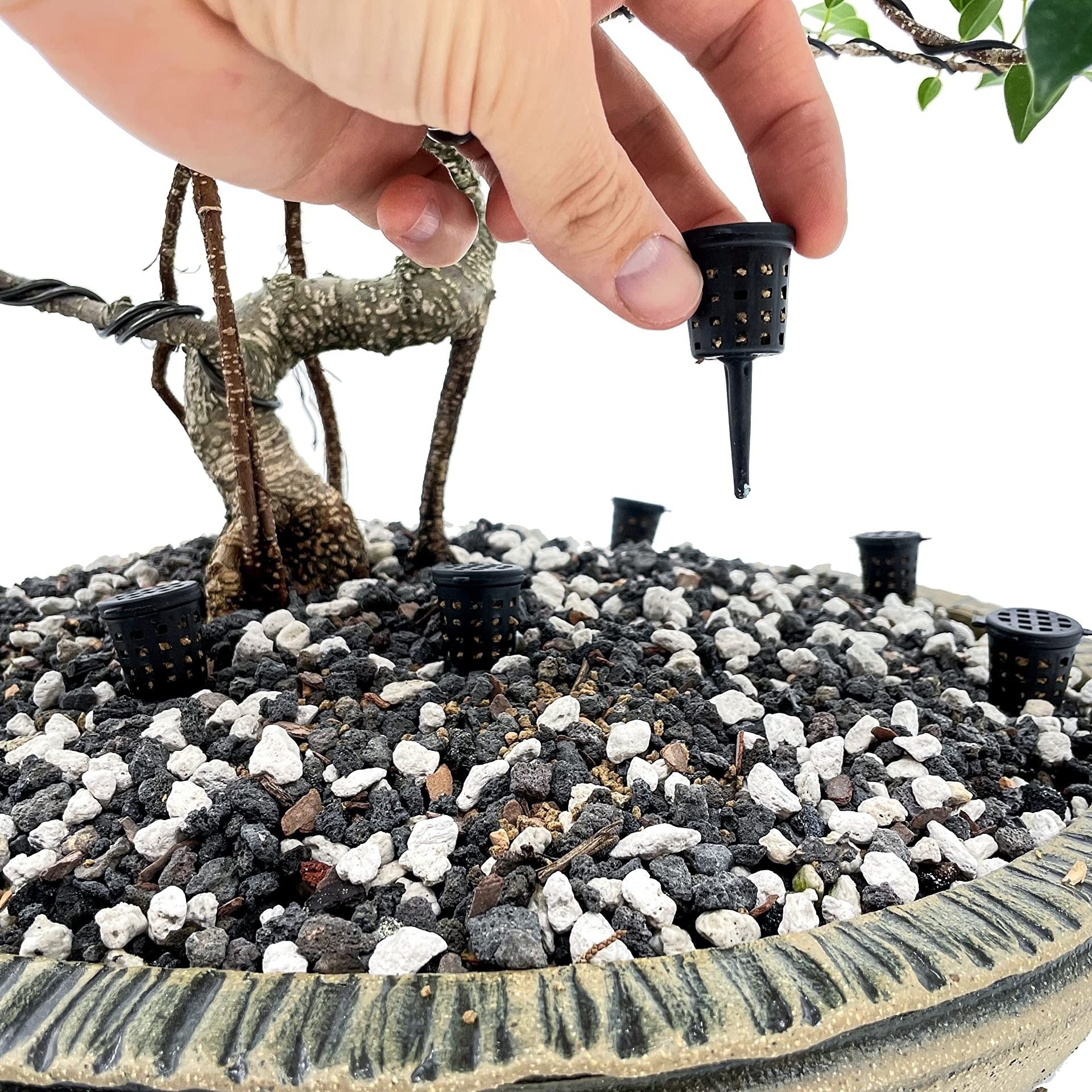 10pcs Bonsai Fertilizer Basket for Any Fertilizer
