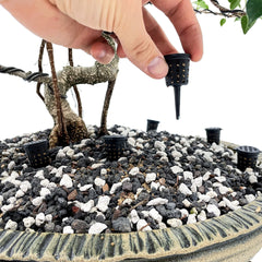 10pcs Bonsai Fertilizer Basket for Any Fertilizer