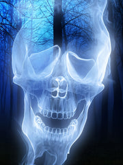 3D Skull Long Sleeve Outdoor T shirt Youth Halloween Tees