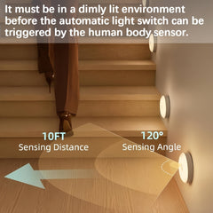 img_3993950