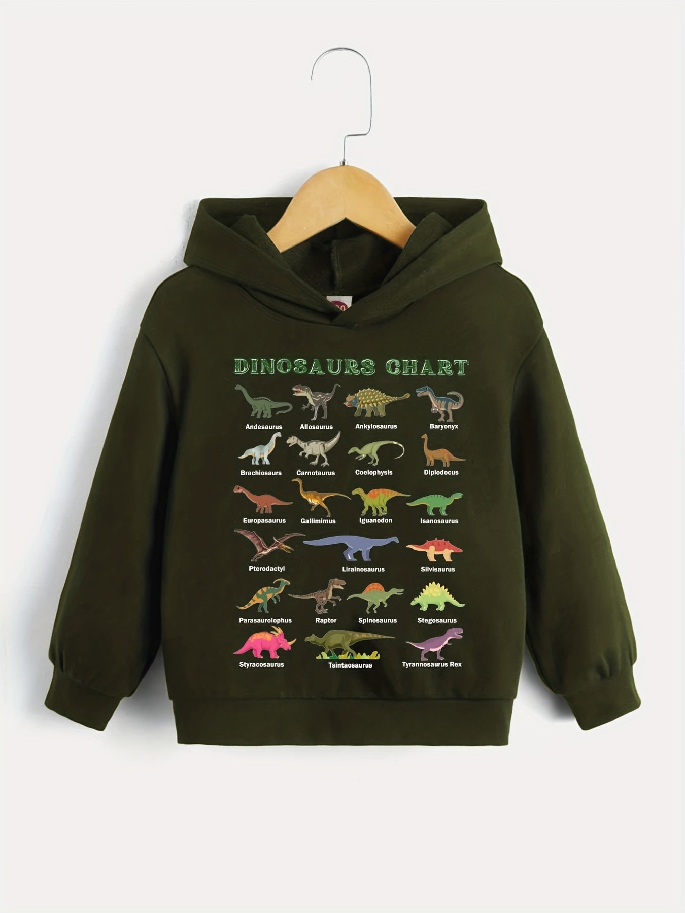 Dinosaurs Chart Boys Hooded Sweatshirt