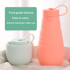 Leakproof Reusable Water Bottle 17.6oz Microwave & Dishwasher