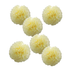 33 Colors 6pcs 10inch Paper Flower Wedding Birthday Christmas Year Paper Pompom